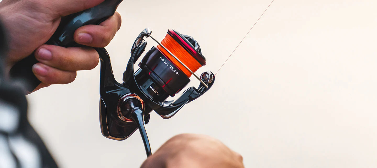 Daiwa Fuego 2025