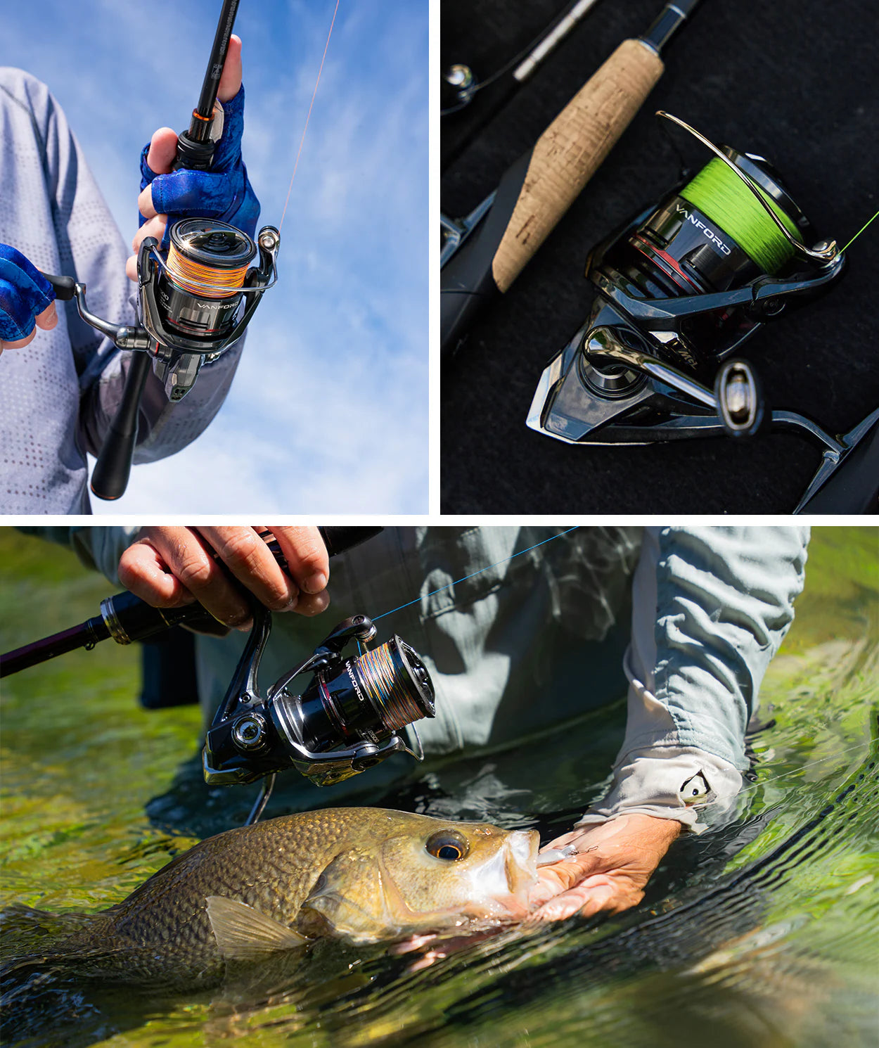 Shimano Vanford FA