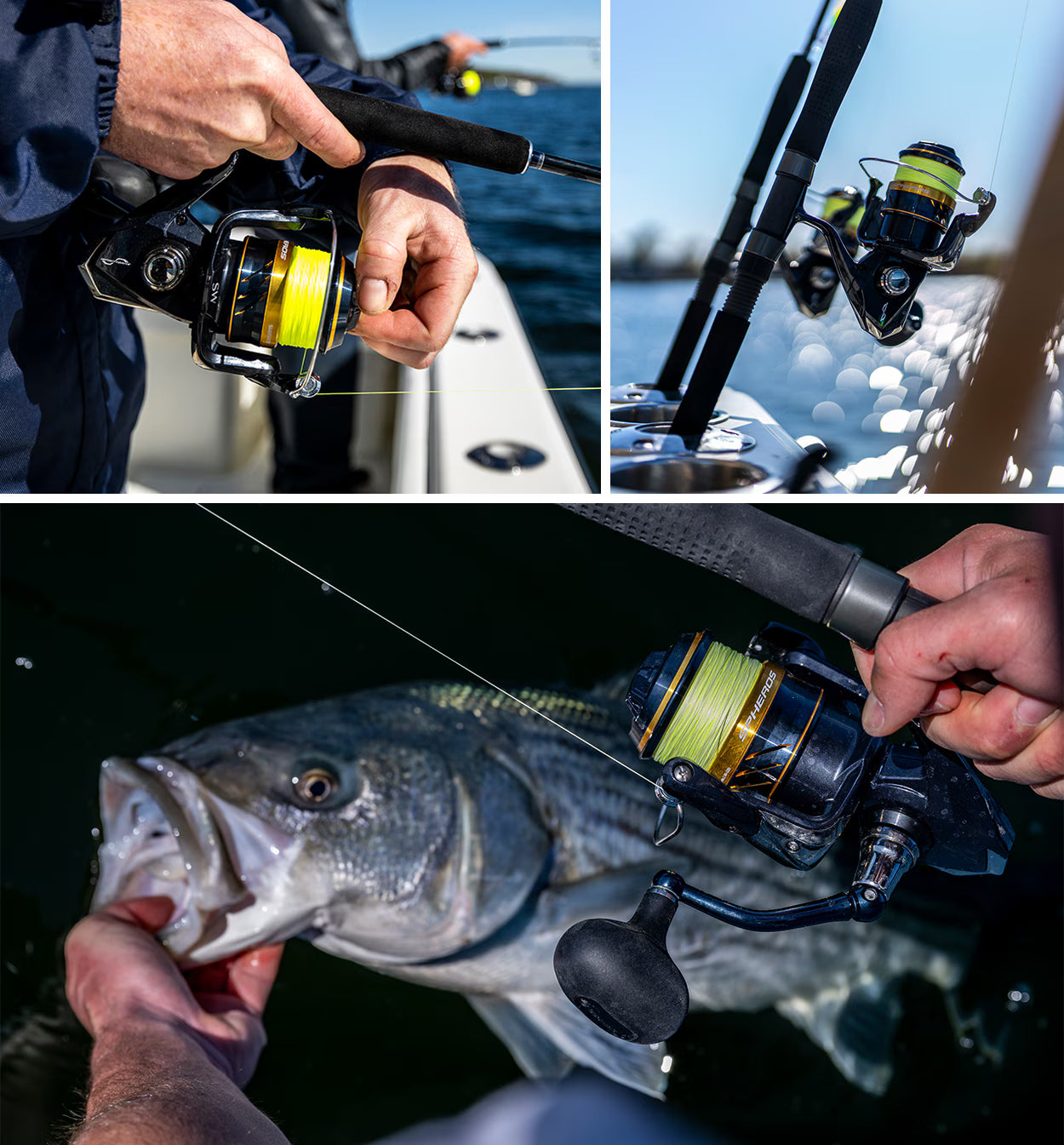 Shimano Spheros SW