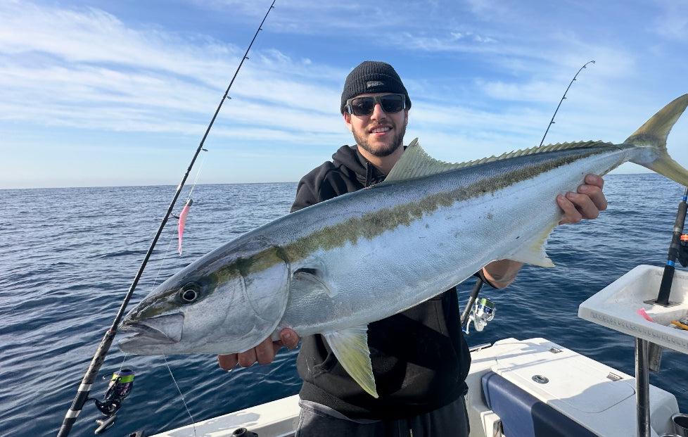 Bait Junkie 5 Inch Jerkshad