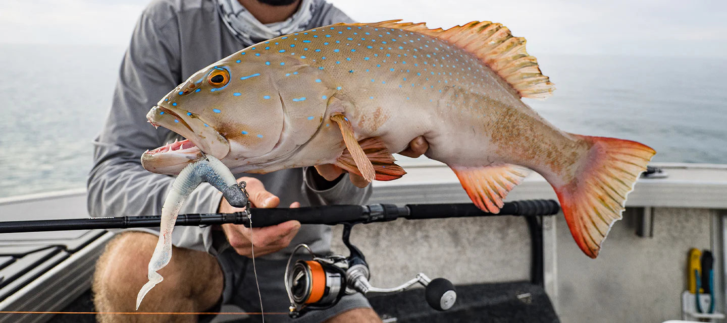 Bait Junkie Wave Minnow 5.5