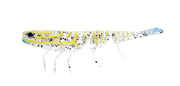 Bait Junkie Prawn 4 inches