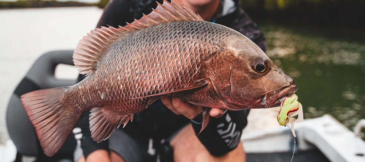 Bait Junkie Kikker Curly Big