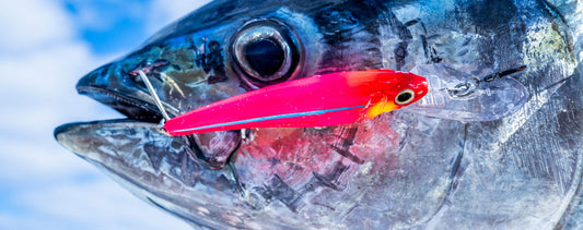Shimano Ledge Runner Blue Water Trolling Lure 200mm