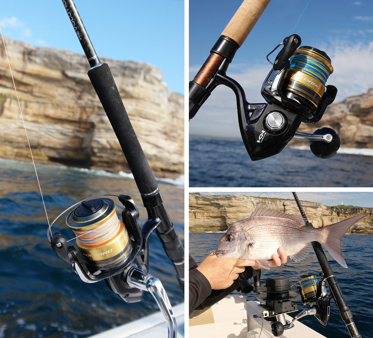 Shimano Socorro SW